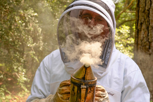 bee6