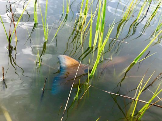 fishing2