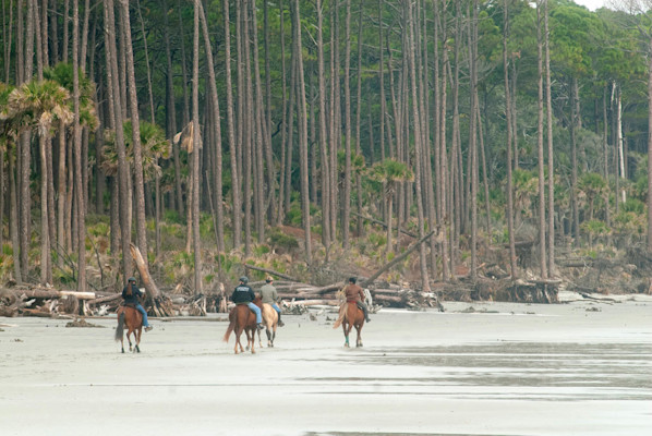 BeachRide7L