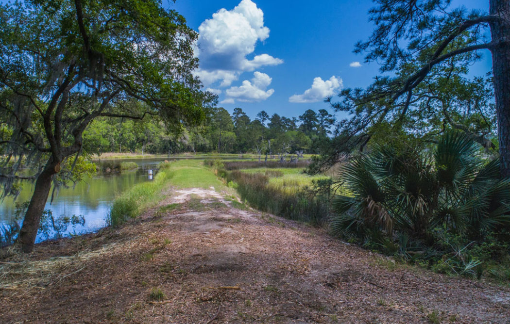 42-goat-island-lot17-image1-1050x668