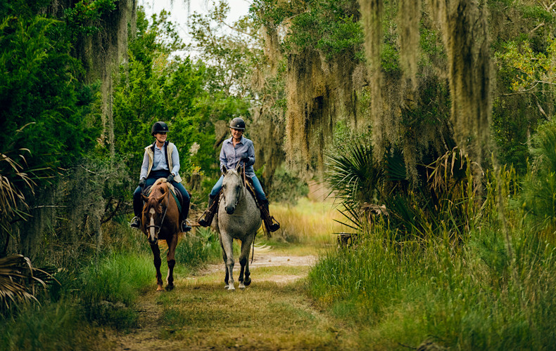 Equestrian forBlog