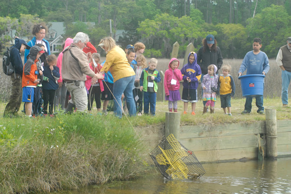 crabbing5 copy