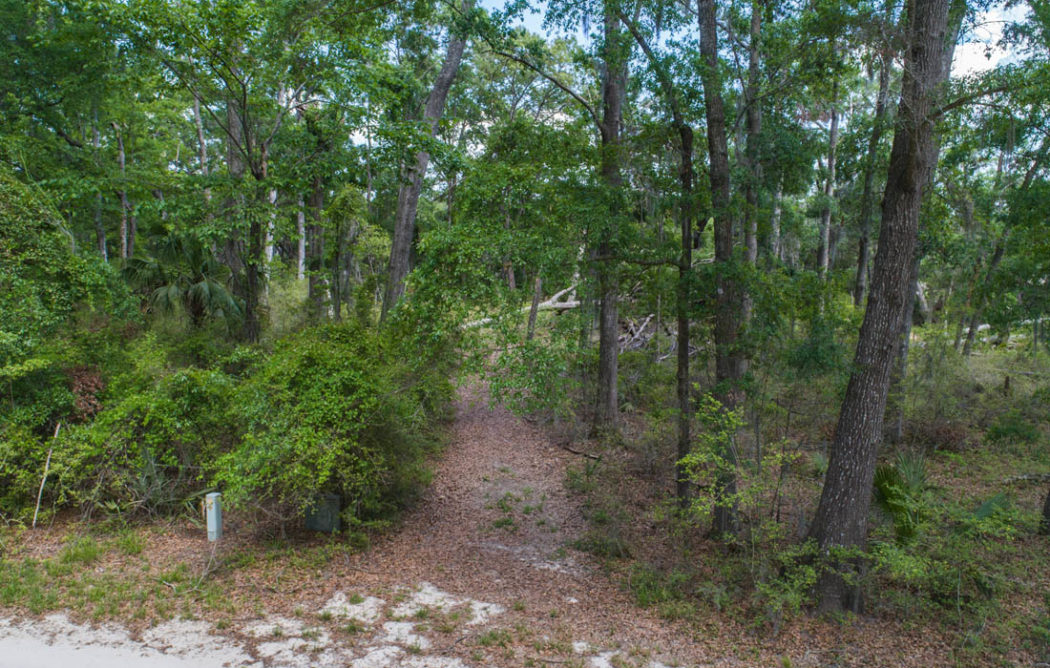 40-Goat-Island-lot16-Image1-1050x668