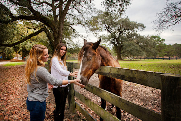 equestrian2