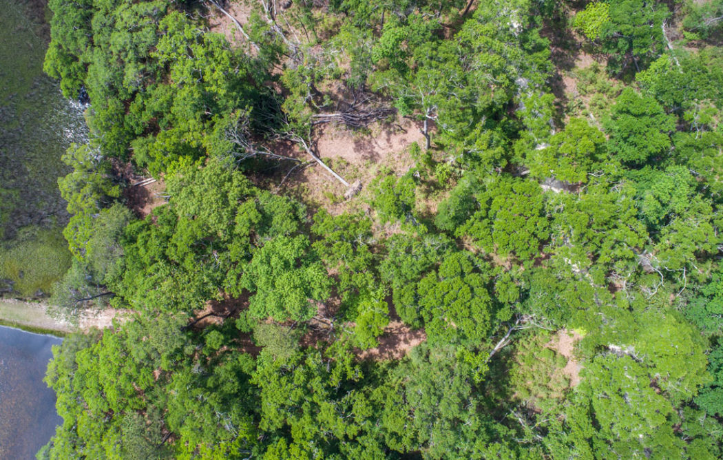 42-goat-island-lot17-image2-1050x668