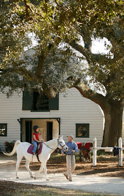 equestrian5
