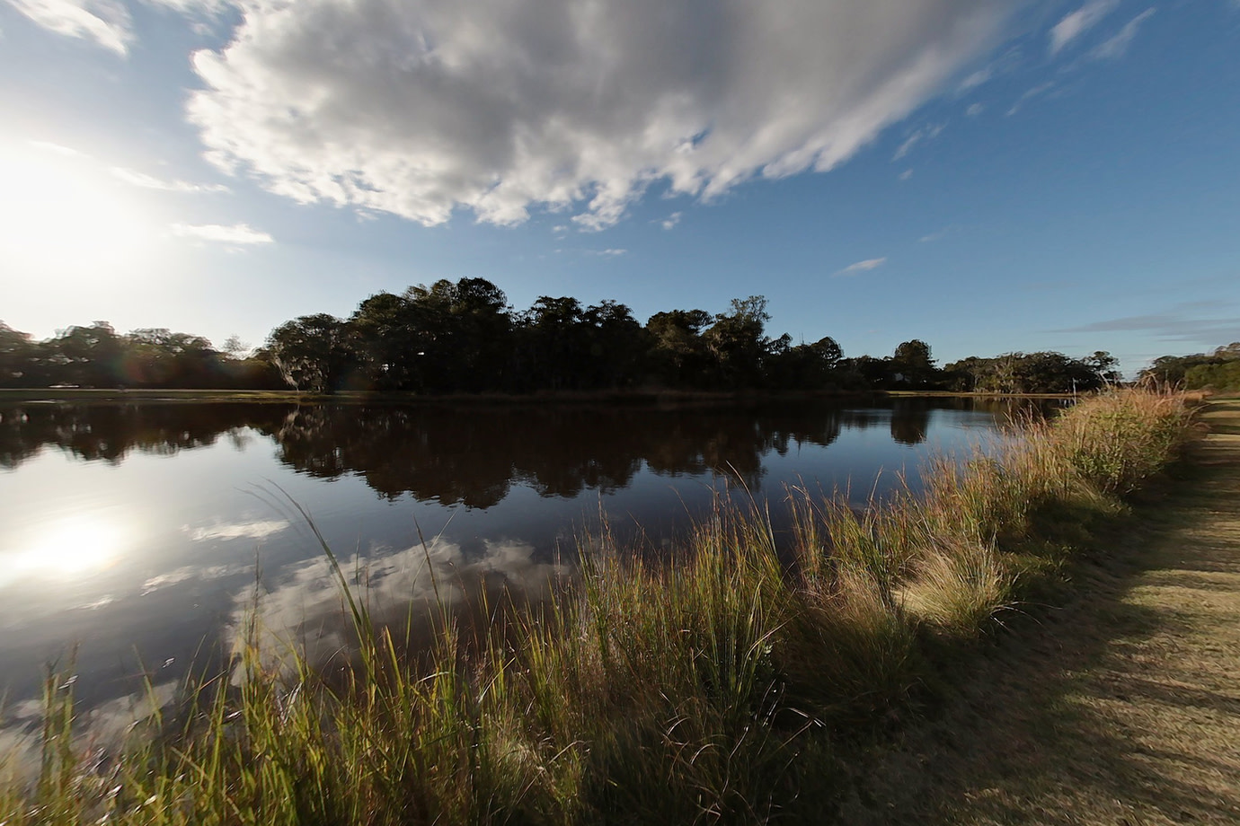 s pond