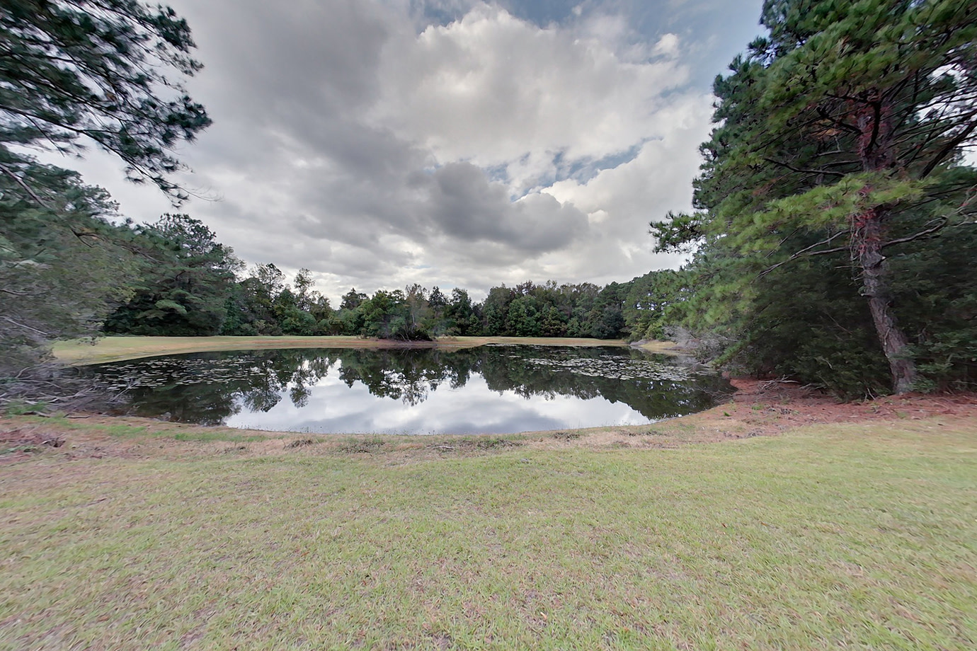 c pond