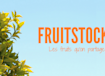 Fruitstock, marchande de fruits et légumes en gros, client Pennylane