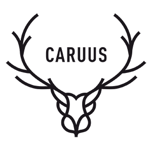 Logo Caruus