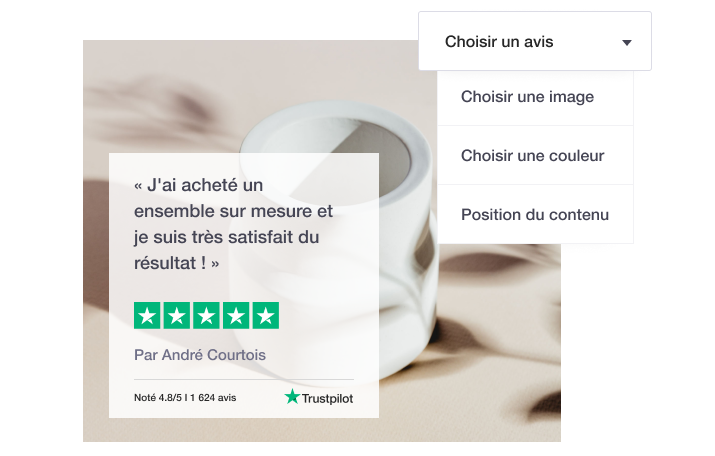 Illustration of Trustpilot's Review Image Generator tool for social media FR - Review Image Generator