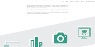 partners au crystal-consulting screenshot