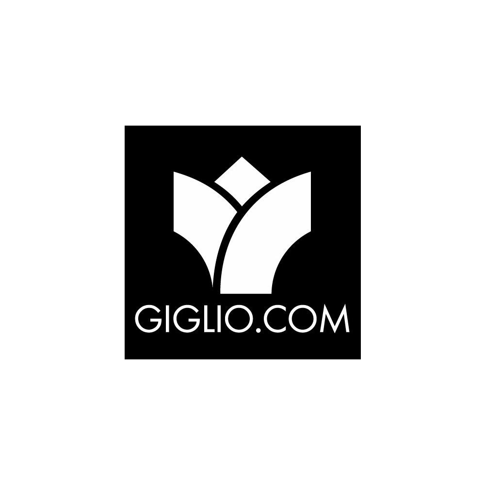 Eriks bike shop logo logo-giglio.com