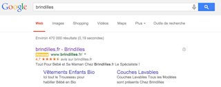 brindilles-gsr-example