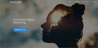 partner screenshot flyingpointdigital