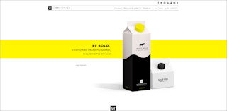 partner screenshot websonica