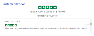 Example of on-page product reviews achieved with Trustpilot’s TrustBoxes