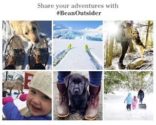 BeanOutsider ad user generated content