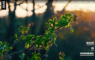 Dan - Made in Hornbæk screenshot dan-r partners