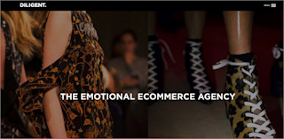 Screenshot of the website of Diligent partner screenshot diligent