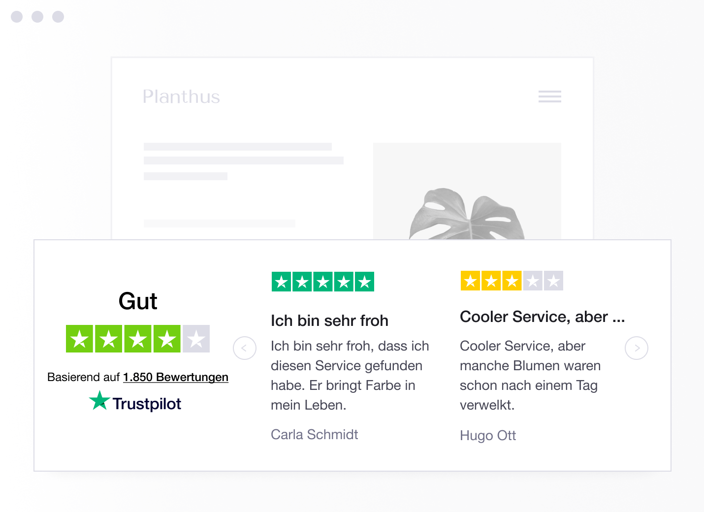 Product illustration of a specific type of Trustpilot TrustBox widget showing a carrousel with reviews DE - Trustbox Widgets