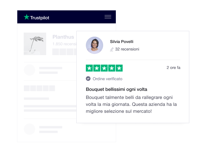 Illustration of a Trustpilot company profile page with a review IT - Company Profile Page