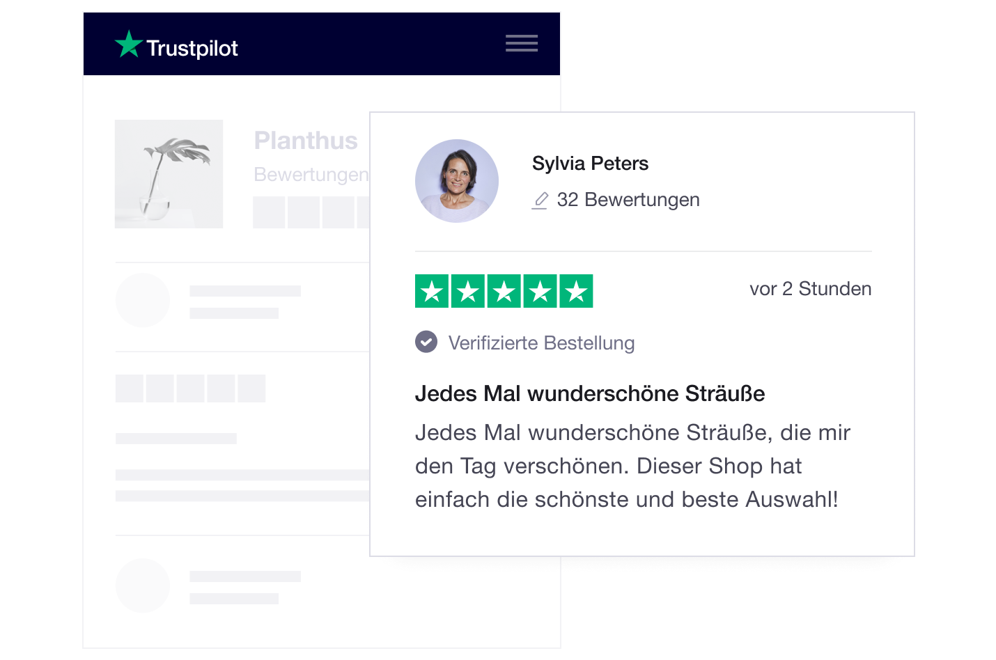 Illustration of a Trustpilot company profile page with a review DE - Company Profile Page