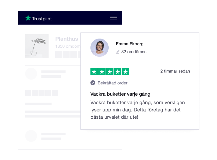 Illustration of a Trustpilot company profile page with a review SE - Company Profile Page-min