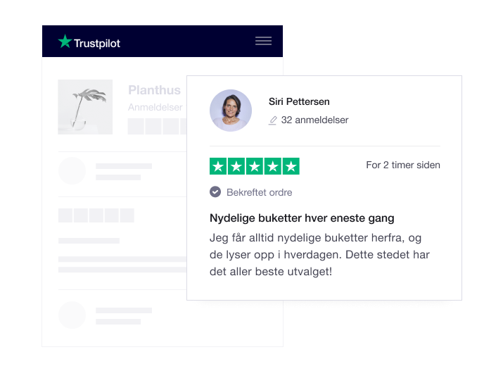 Illustration of a Trustpilot company profile page with a review NO - Company Profile Page