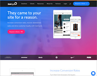 screenshot salecycle website 700x550