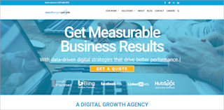 screenshot searchenginepeople
