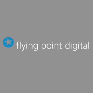 logo flying-point-digital uk 300x300 bg