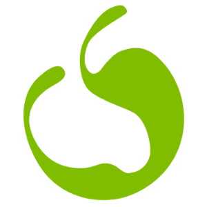 logo partner coriweb it 300x300