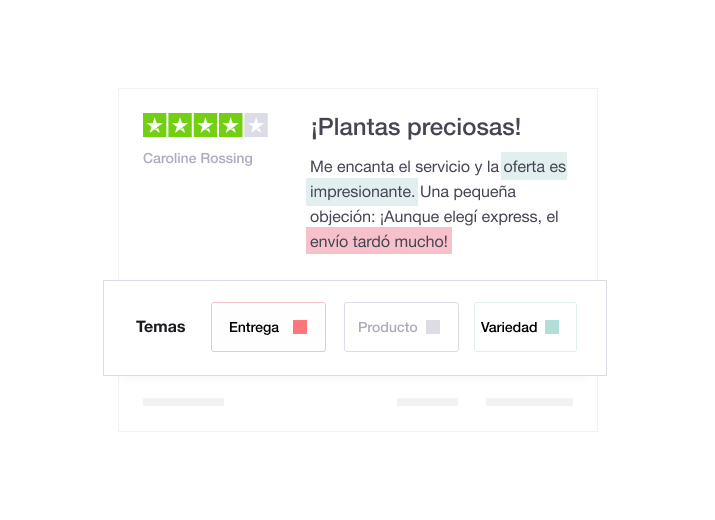 Illustration showing a Trustpilot review with the insights feature underneath ES - Dasboard Analytics and Insights