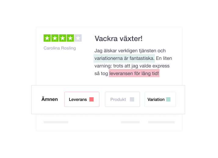 Illustration showing a Trustpilot review with the insights feature underneath SE - Dasboard Analytics and Insights