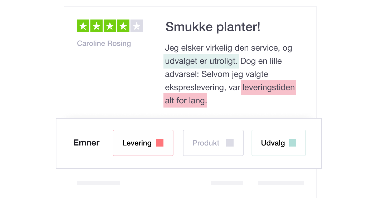 Illustration showing a Trustpilot review with the insights feature underneath DK - Dasboard Analytics and Insights-min