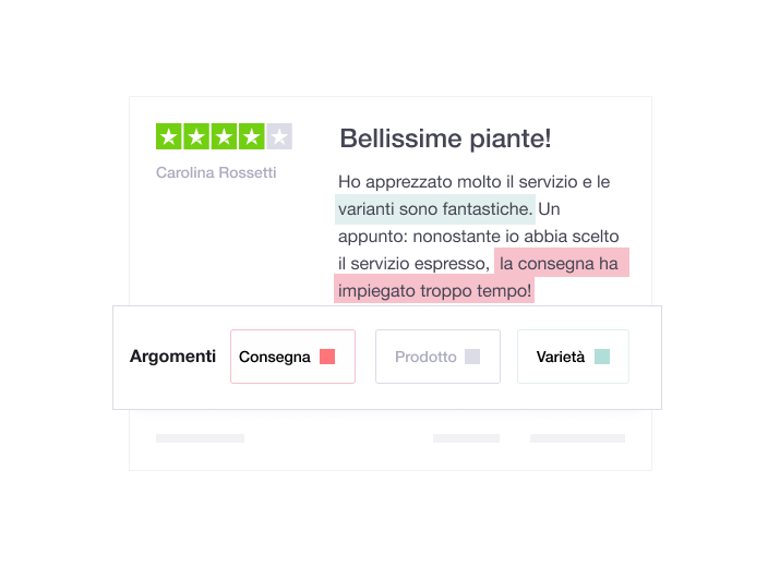 Illustration showing a Trustpilot review with the insights feature underneath IT - Dasboard Analytics and Insights