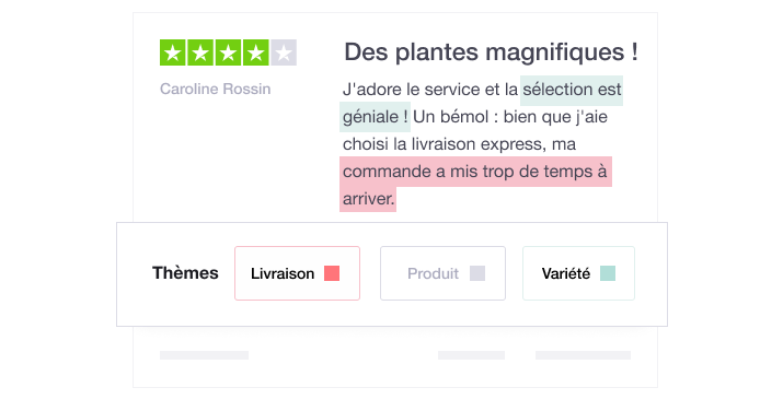 Illustration showing a Trustpilot review with the insights feature underneath FR - Dasboard Analytics and Insights-min