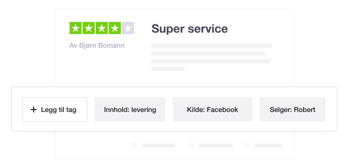 Illustration showing Trustpilot's Review Tagging and Pre-tagging feature NO - Tagging and pre-tagging