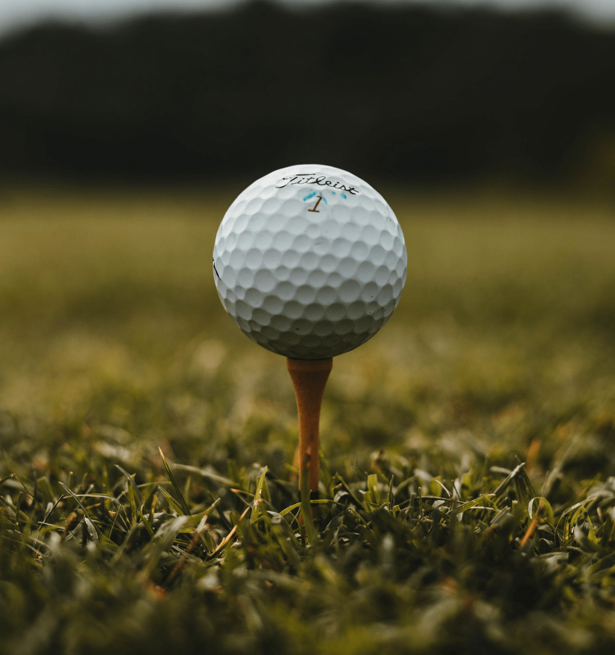 Photo of a golf tee and golf ball on green grass Golf Experten promo photo of a golf ball