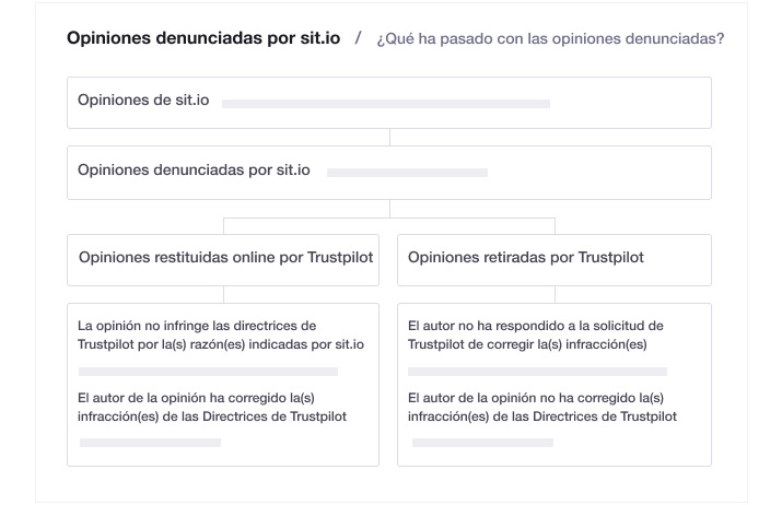 Illustration of Trustpilot's transparent flagging feature ES - Transparent flagging