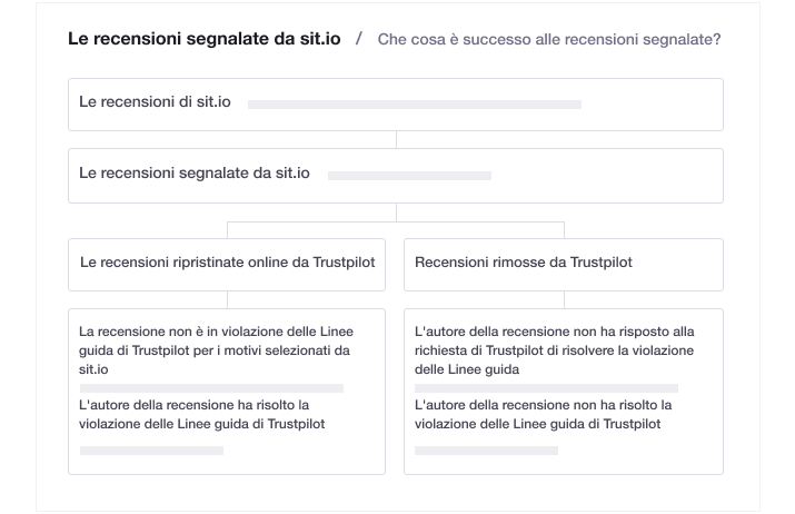 Illustration of Trustpilot's transparent flagging feature IT - Transparent flagging