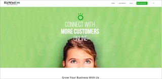 partner screenshot bizwisdom
