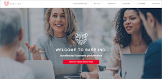 partners au bare-inc screenshot