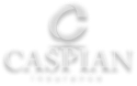 Caspian Insurance Logo with a transparent background Caspian Insurance Logo - transparent background