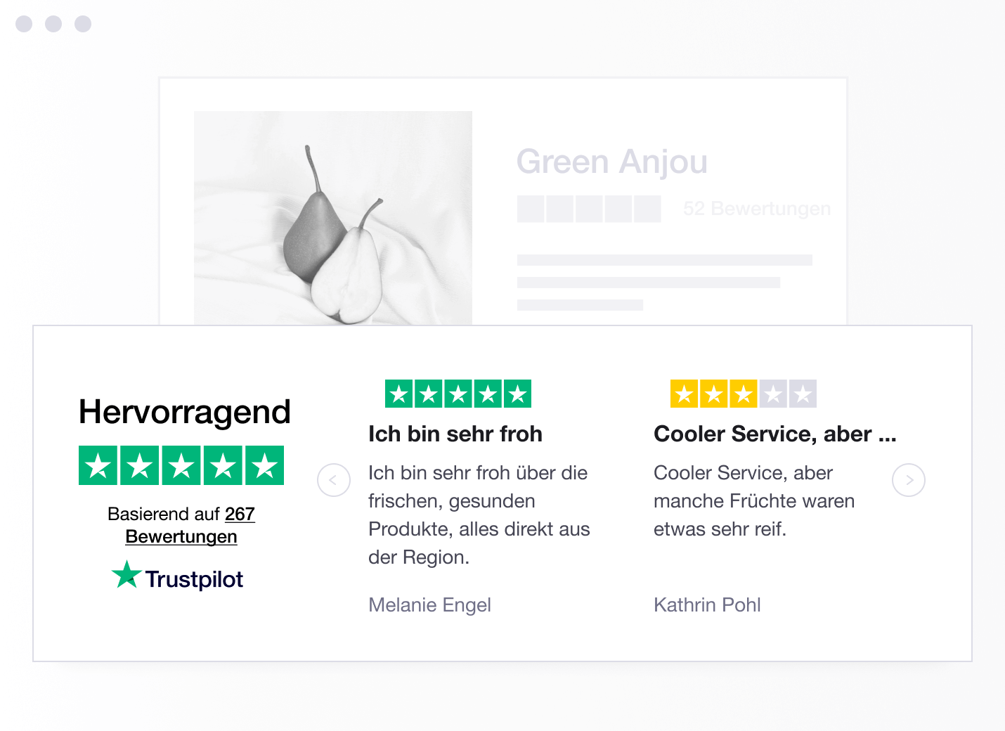 Product illustration of a specific type of Trustpilot TrustBox widget showing a carrousel with reviews DE - Trustbox Widgets