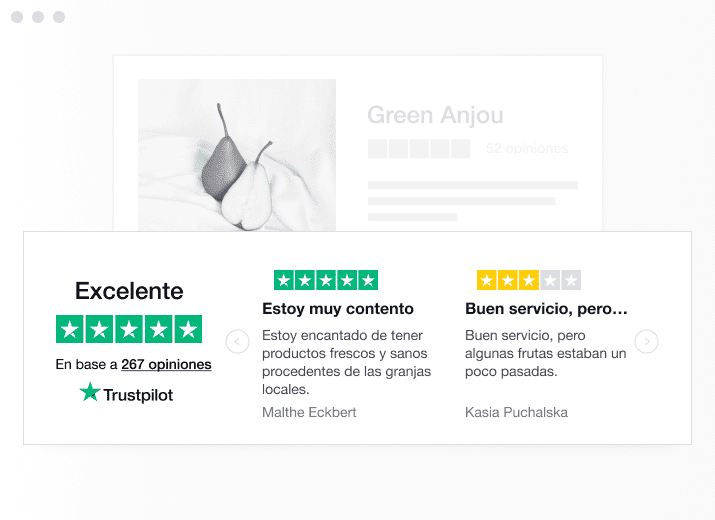 Product illustration of a specific type of Trustpilot TrustBox widget showing a carrousel with reviews ES - Trustbox Widgets