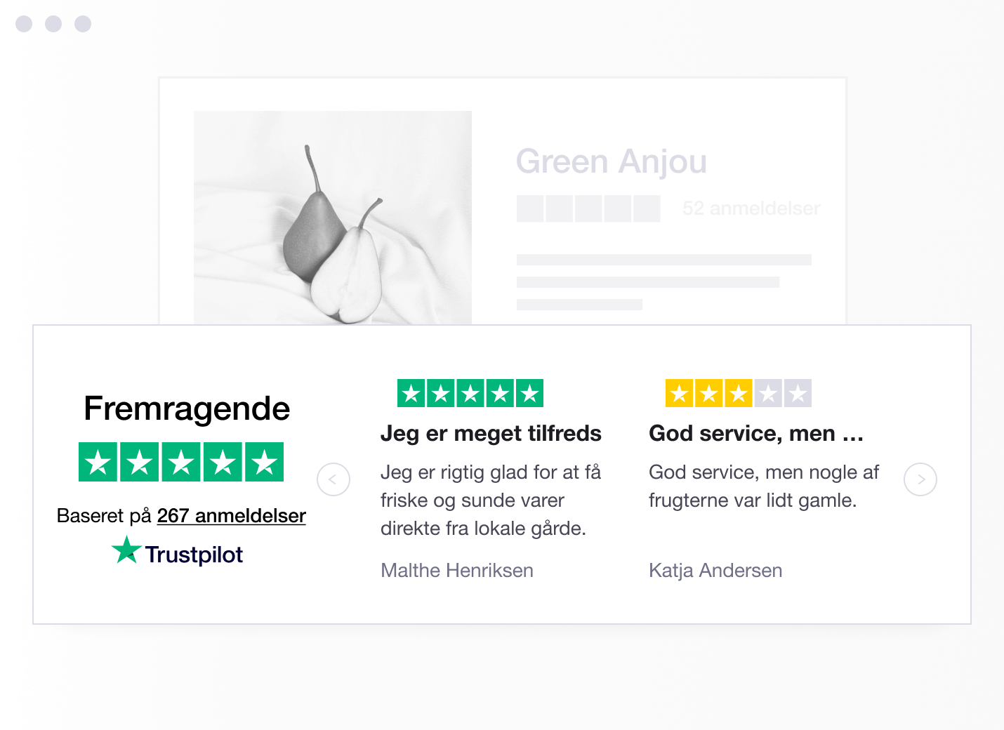 Product illustration of a specific type of Trustpilot TrustBox widget showing a carrousel with reviews DK - Trustbox Widgets