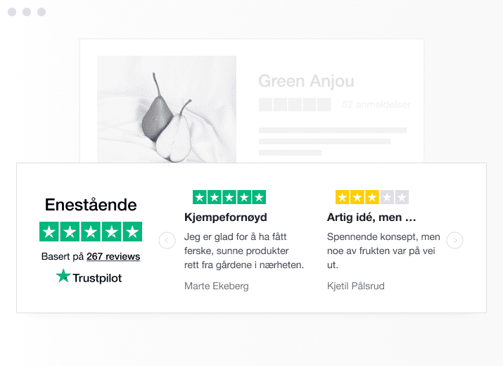 Product illustration of a specific type of Trustpilot TrustBox widget showing a carrousel with reviews NO - Trustbox Widgets