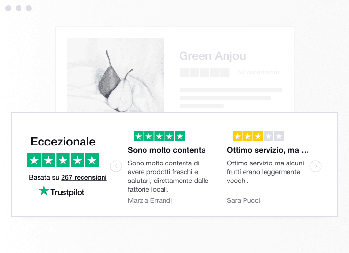 Product illustration of a specific type of Trustpilot TrustBox widget showing a carrousel with reviews IT - Trustbox Widgets